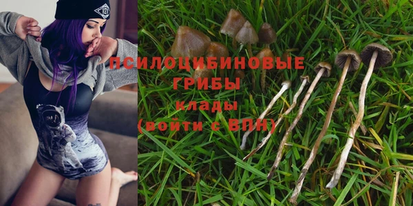мдпв Верхний Тагил