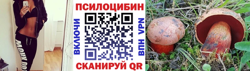 что такое   Северобайкальск  Галлюциногенные грибы Cubensis 