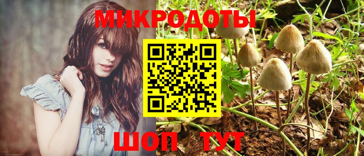 Галлюциногенные грибы прущие грибы Северобайкальск