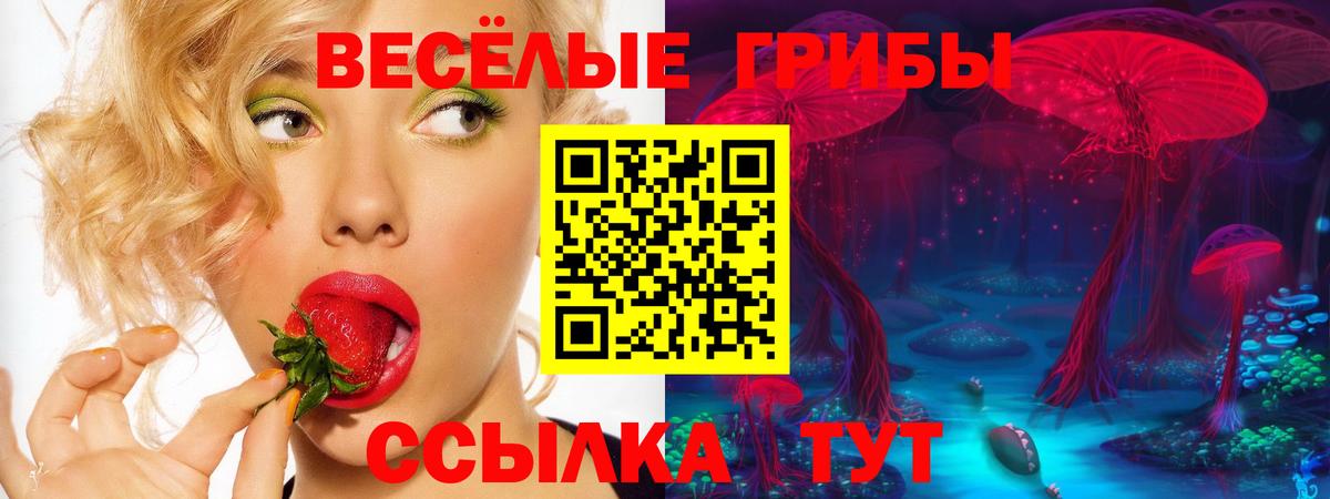 Северобайкальск  Галлюциногенные грибы MAGIC MUSHROOMS  Вход с VPN 